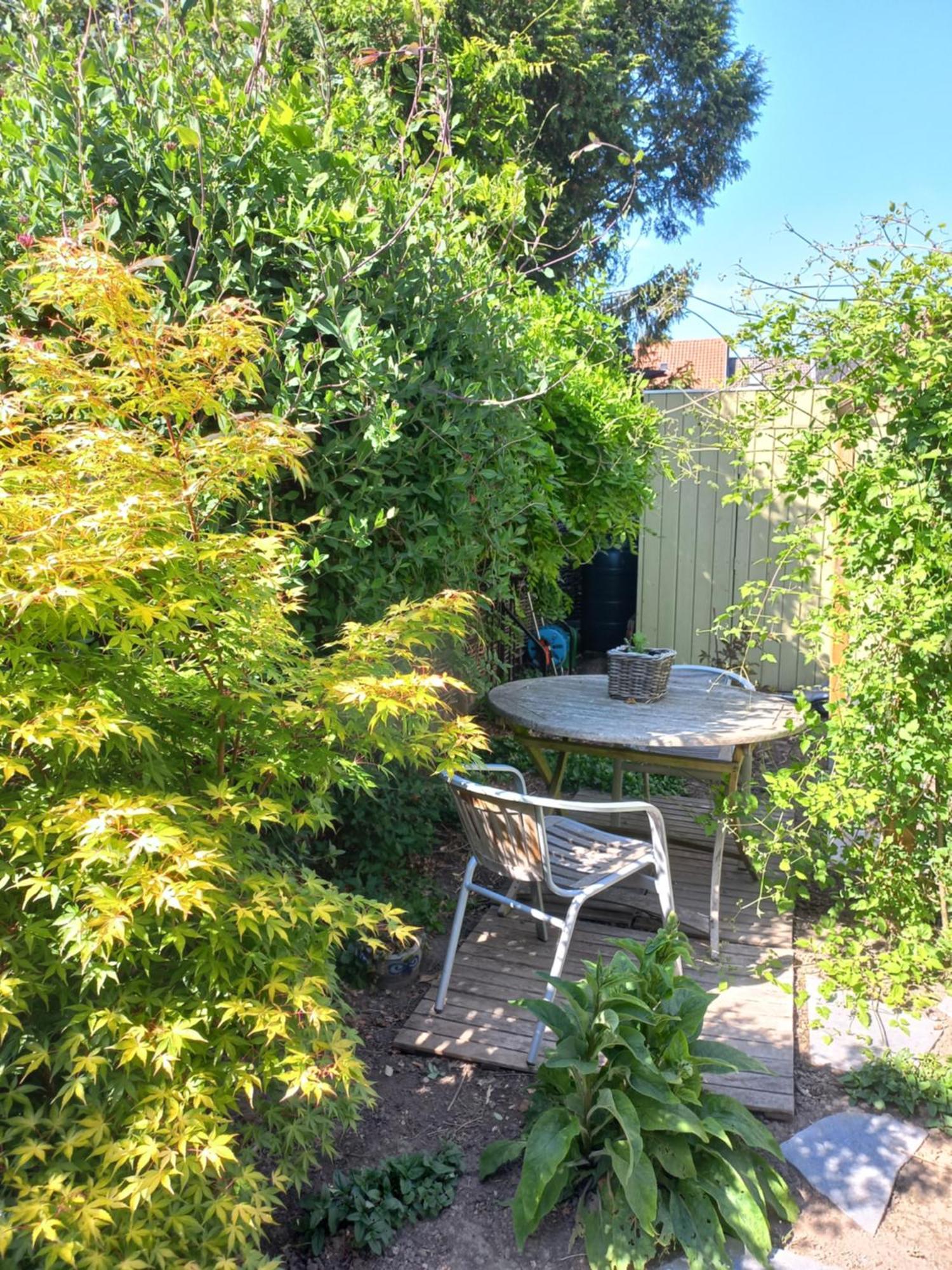 On-Ge-WoonAd Hasselt  Villa Bagian luar foto